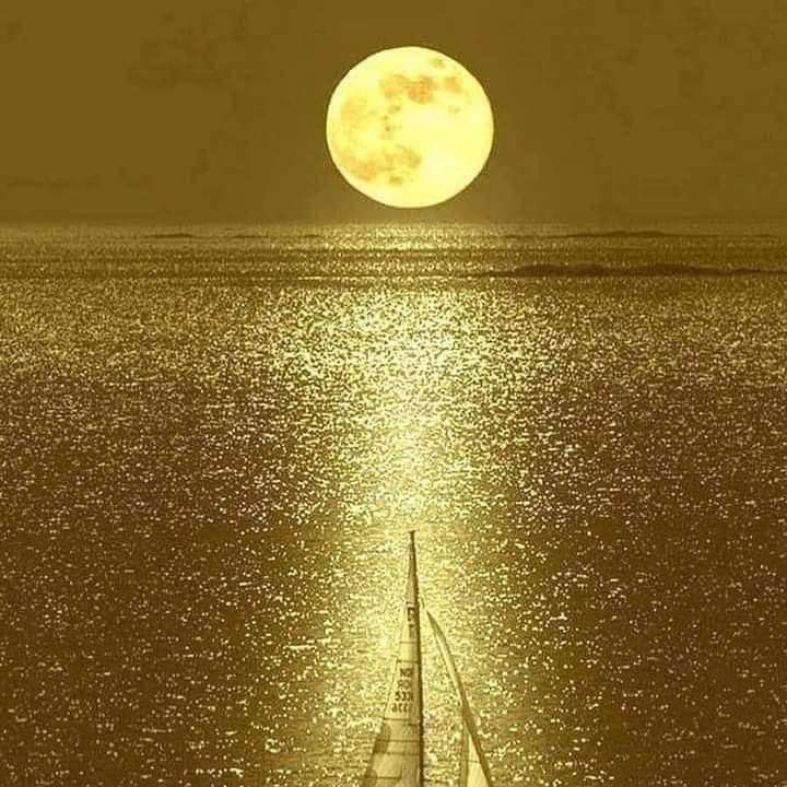 WHEN THE MOON KISSES THE SEA online puzzle