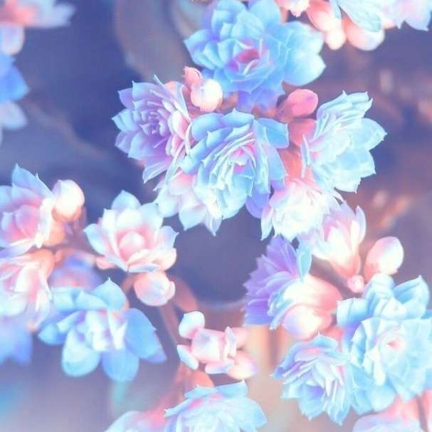 Virágok... csúszó puzzle online