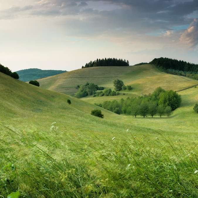 зелені пагорби з лісом під хмарним небом в денний час онлайн пазл