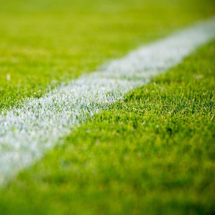 Primer plano de una línea blanca sobre la hierba verde en un campo de fútbol rompecabezas en línea