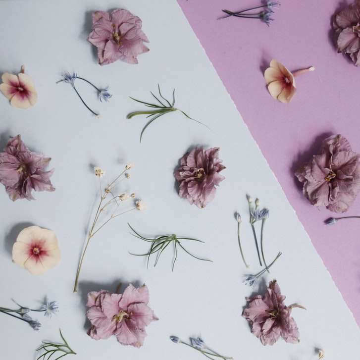 ピンクの花びらの花 スライディングパズル・オンライン
