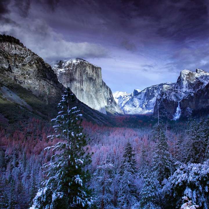 山や木の写真 スライディングパズル・オンライン