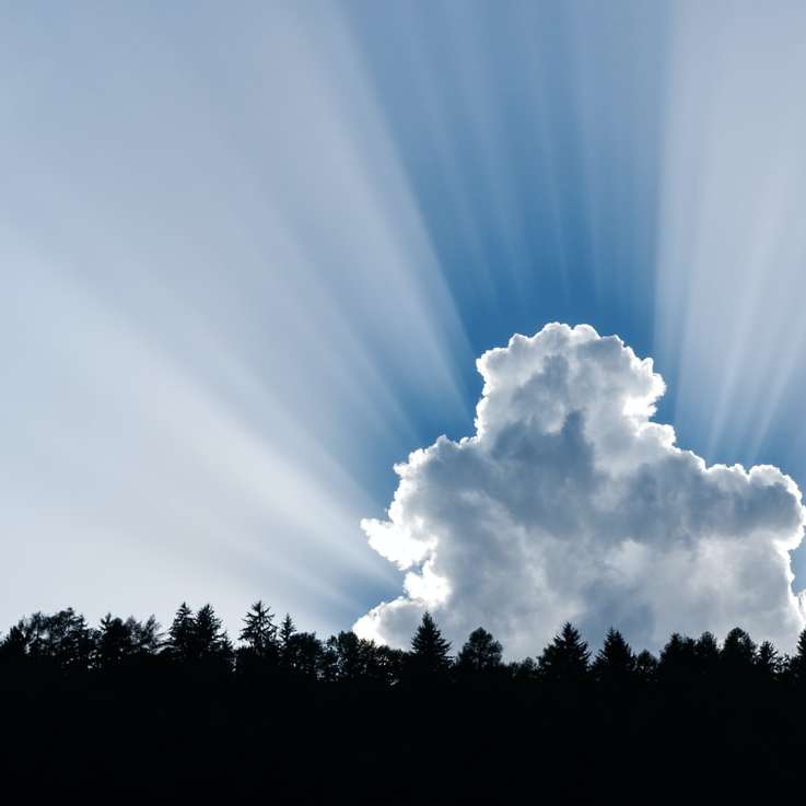Fotografie von Wolken und Waldbäumen Schiebepuzzle online