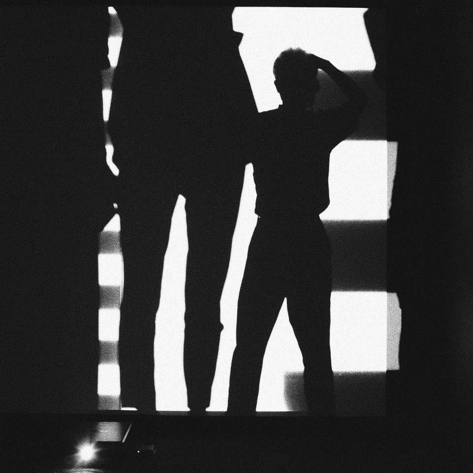 silhouette of 2 person standing online puzzle