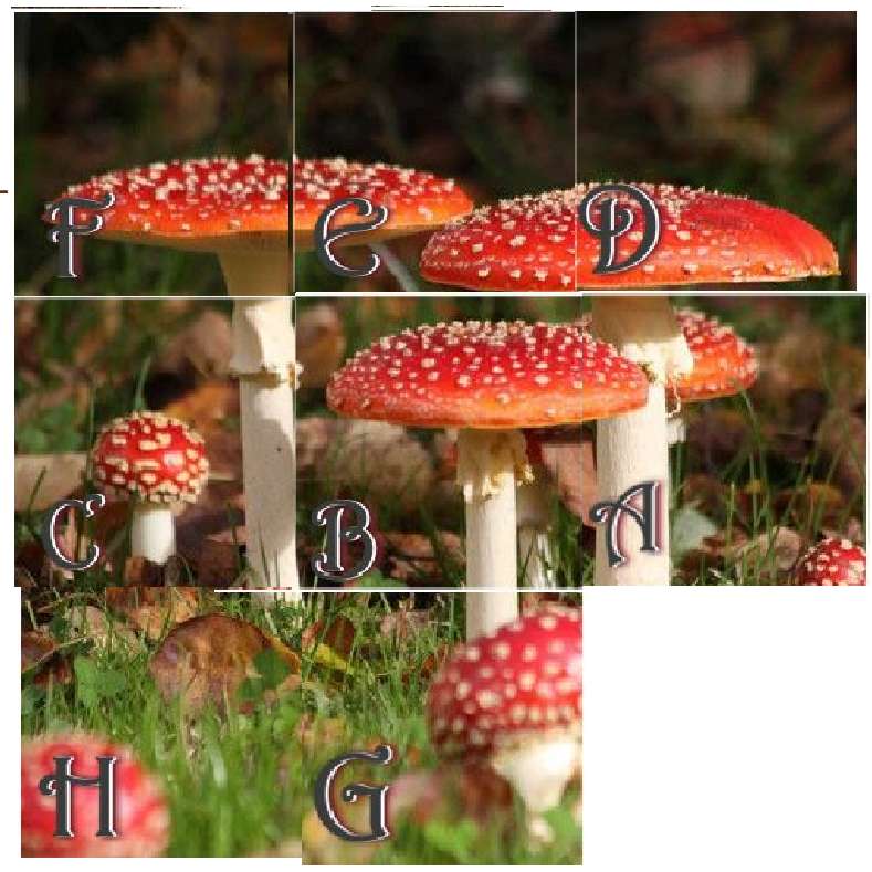 paddenstoelen voor walpurgi's online puzzel