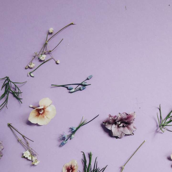 άνθη και φύλλα σε διάφορα χρώματα με πέταλα σε μωβ επιφάνεια online παζλ