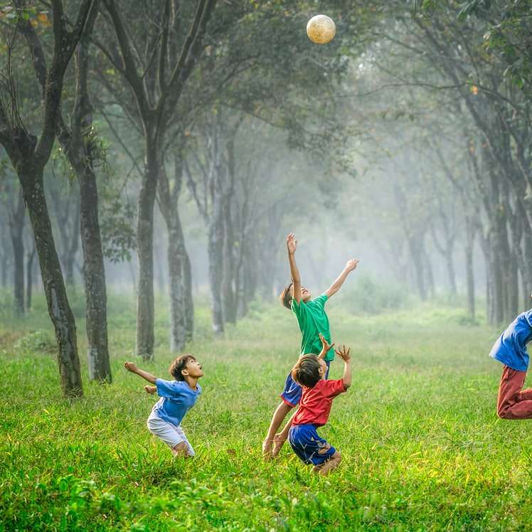 vier Jungen spielen Ball auf grünem Gras Schiebepuzzle online