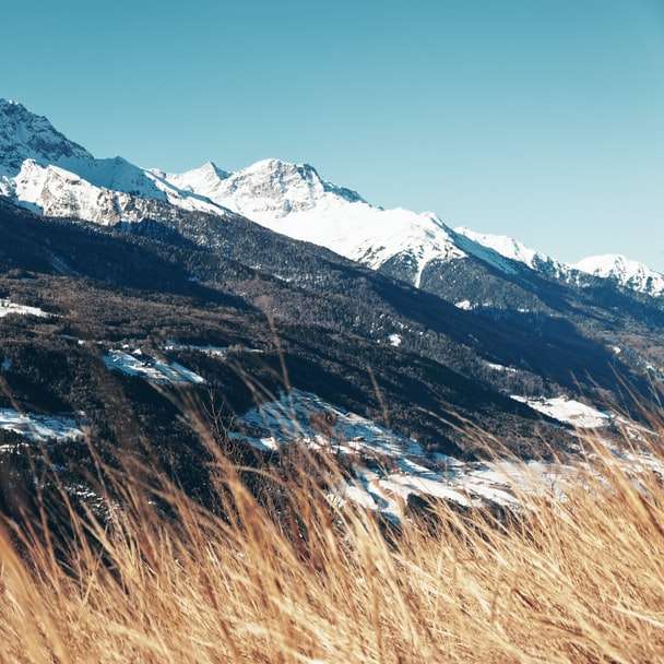 gedroogde grassen met uitzicht op de bergen onder de blauwe lucht schuifpuzzel online