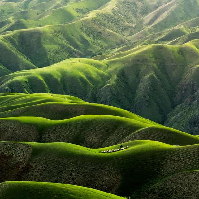 madártávlatból készült fénykép zöld hegyekről csúszó puzzle online