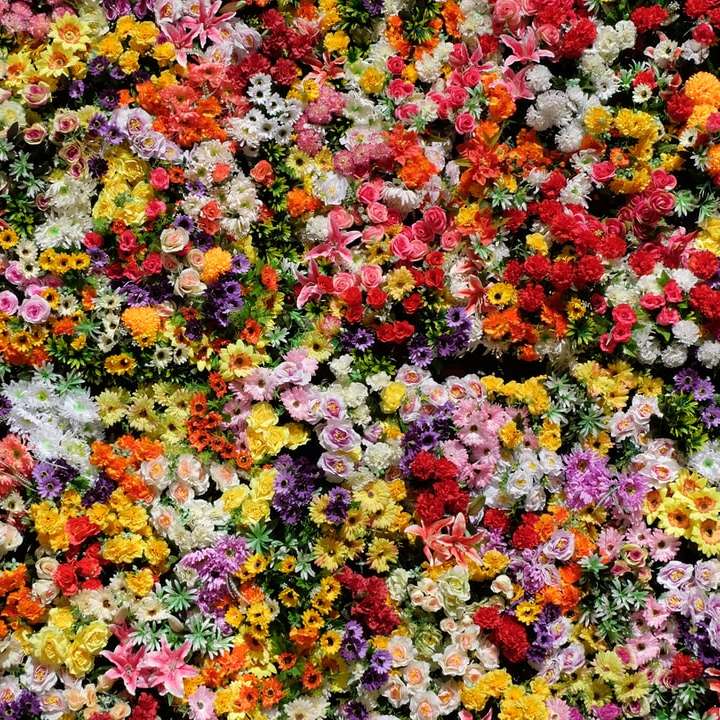 czerwone, żółte i białe płatki kwiatów puzzle online