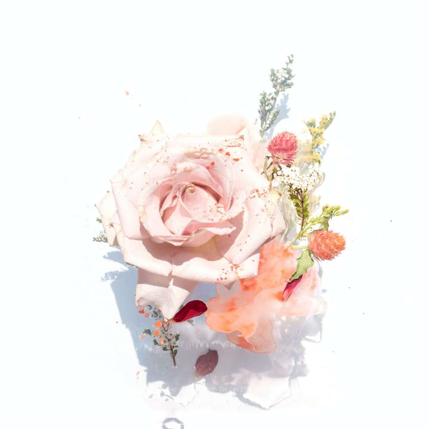 илюстрация на розови рози плъзгащ се пъзел онлайн