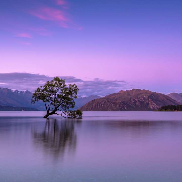 tree on body of water near mountains sliding puzzle online