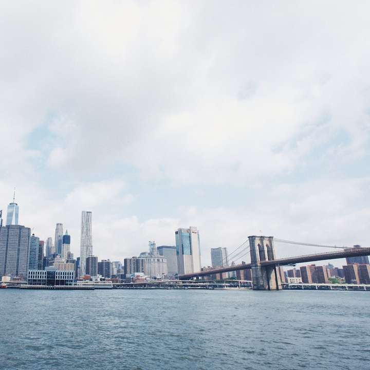 Vista da cidade de Nova York durante o dia puzzle online