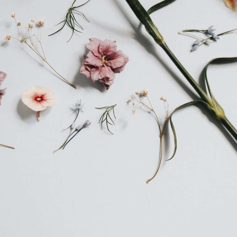 florale Kunstwerke auf der Oberfläche Schiebepuzzle online