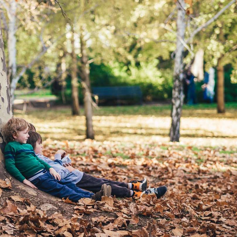 twee kinderen zittend op de grond met gedroogde bladeren schuifpuzzel online