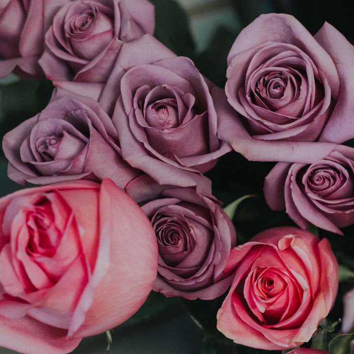 Flaches Fokusfoto von lila und roten Blumen Schiebepuzzle online