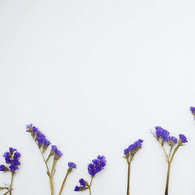 μωβ πέταλα λουλουδιών συρόμενο παζλ online