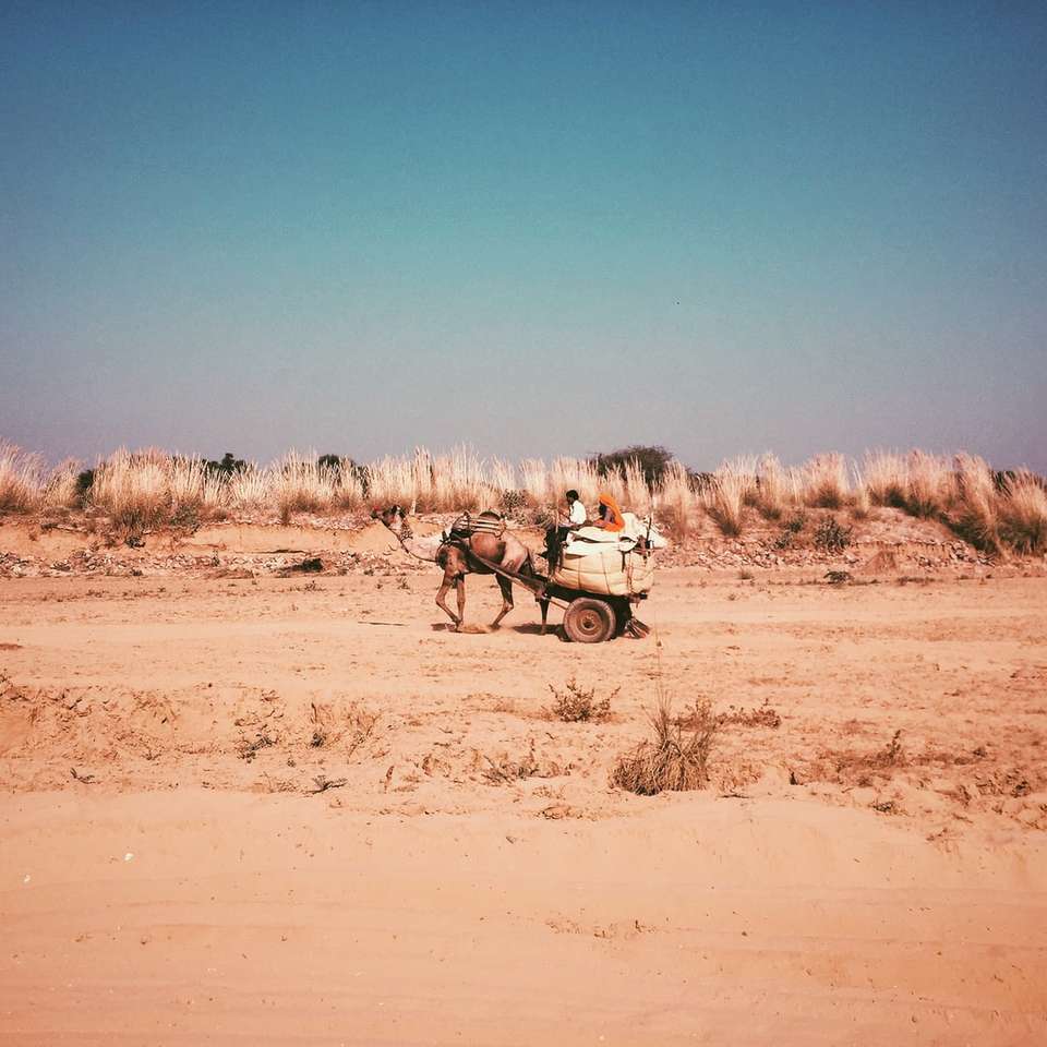 кафява камила на кафяво поле през деня плъзгащ се пъзел онлайн