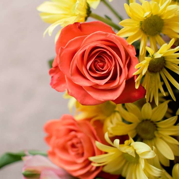 Fotografía de enfoque selectivo flores de pétalos rojos y amarillos rompecabezas en línea