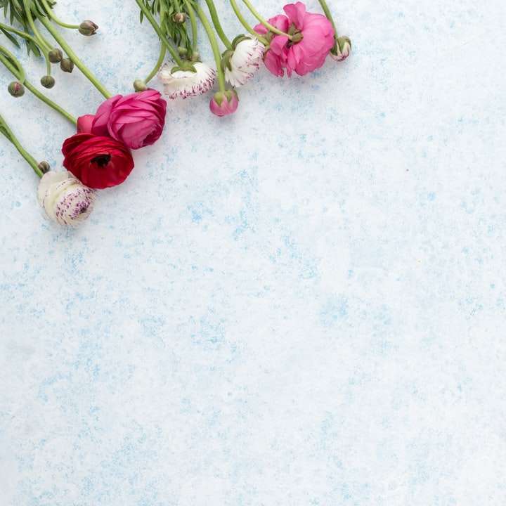 różowe i białe kwiaty na białej powierzchni puzzle przesuwne online