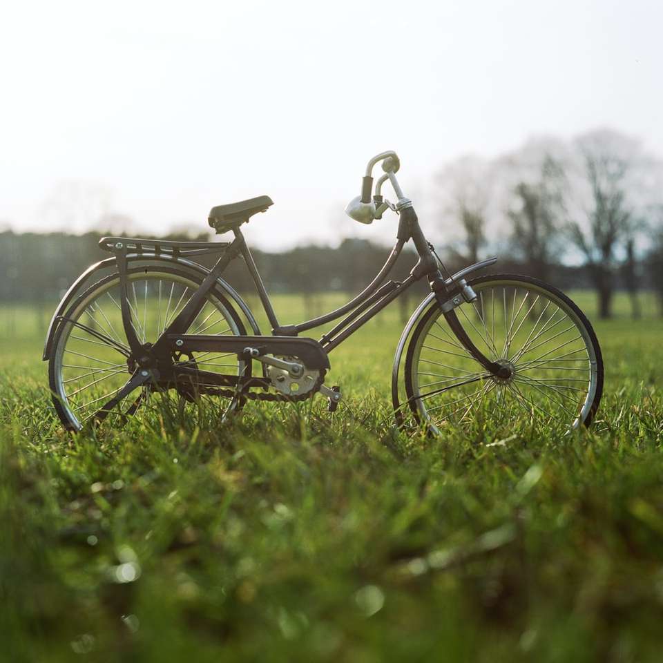 μαύρο ποδήλατο πόλης στο πράσινο γρασίδι κατά τη διάρκεια της ημέρας online παζλ
