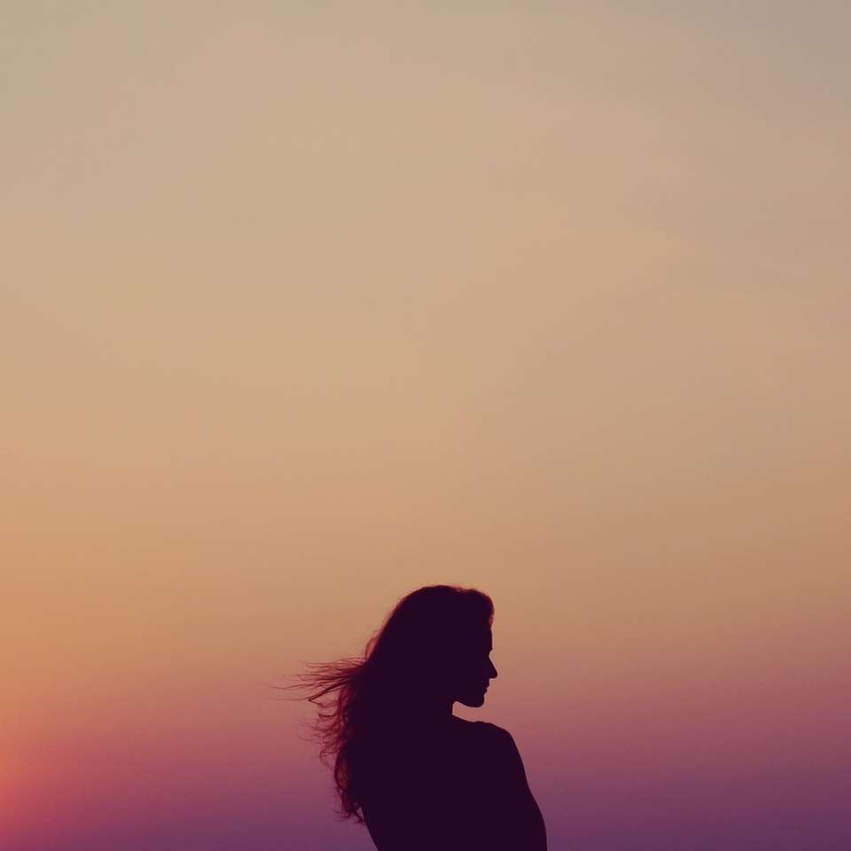 silhouet van vrouw onder oranje lucht schuifpuzzel online