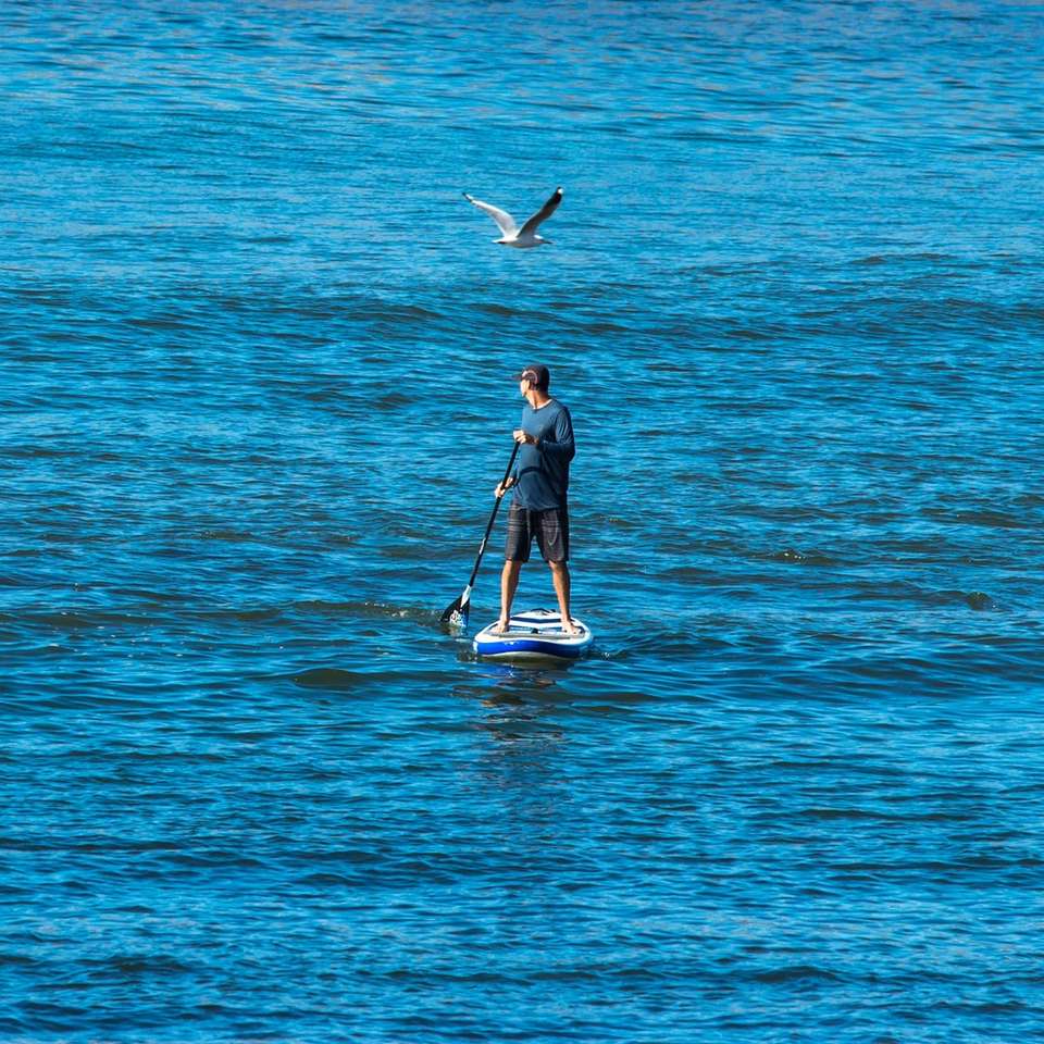 persoon die op een blauw en wit paddleboard staat drijvend schuifpuzzel online