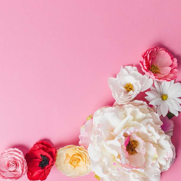 białe i różowe róże na różowej ścianie puzzle przesuwne online