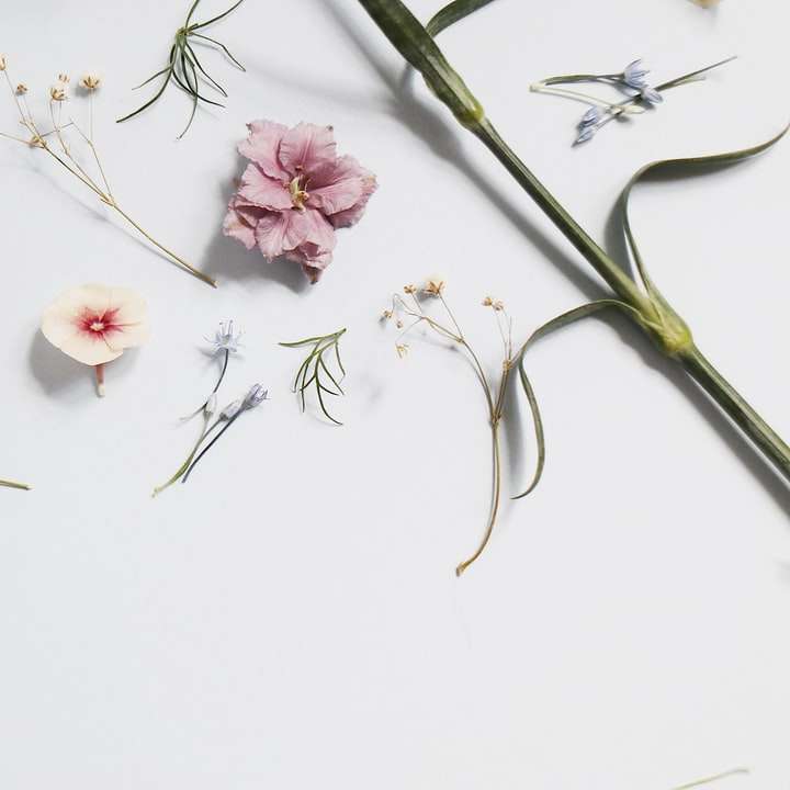ροζ λουλούδια συρόμενο παζλ online