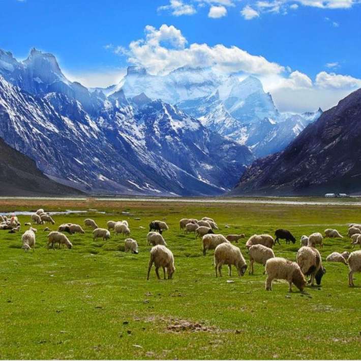 Cunoașteți Ladakh alunecare puzzle online