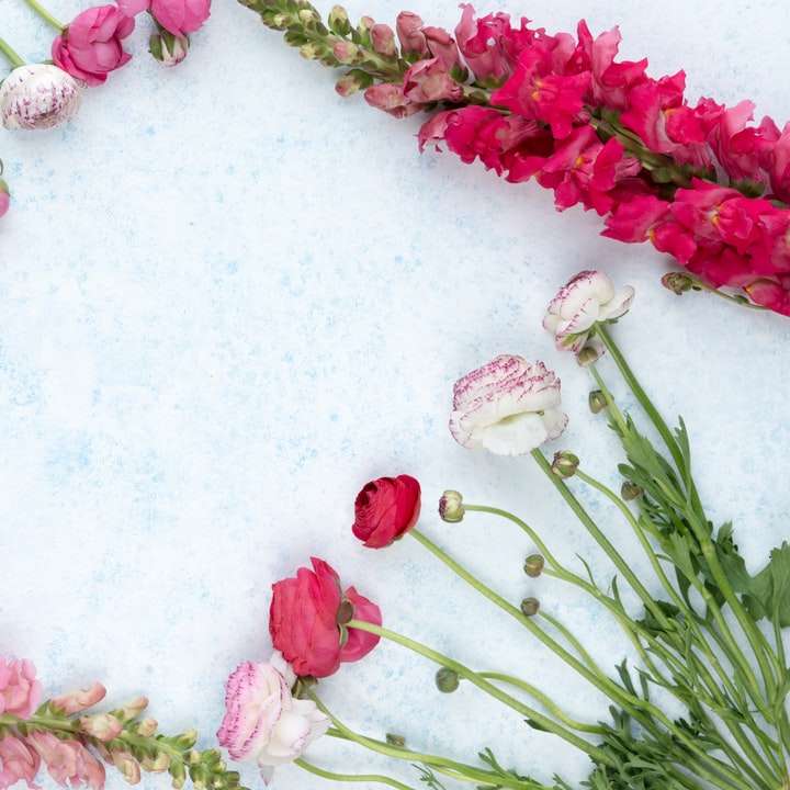 bloemen in verschillende kleuren op een wit betonnen oppervlak gelegd schuifpuzzel online