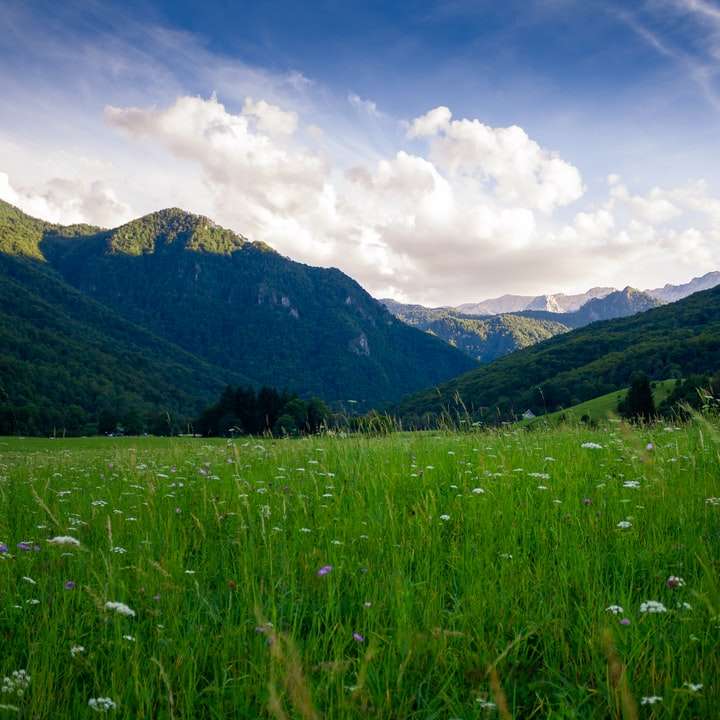 трав'яне поле і гірські хребти розсувний пазл онлайн