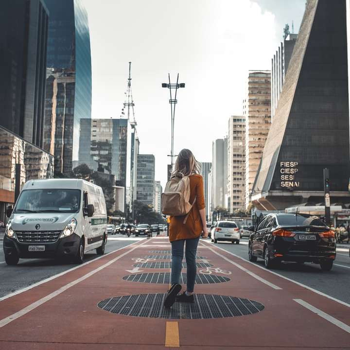 photography of woman walking in between road with vehicles online puzzle