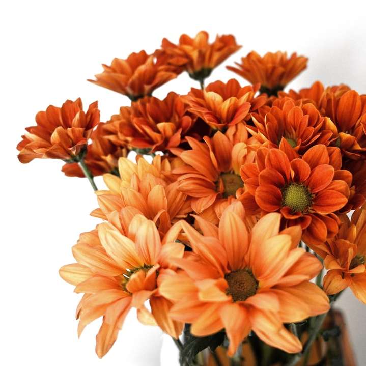портокалови цветя в бяла керамична ваза плъзгащ се пъзел онлайн