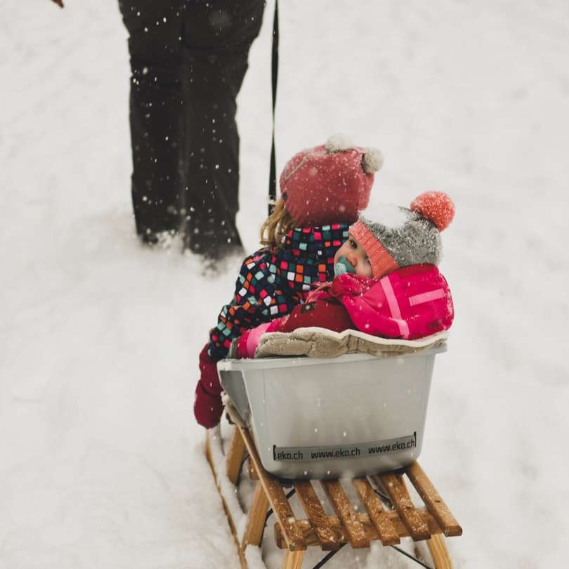 person pulling babies riding on white and brown sled sliding puzzle online