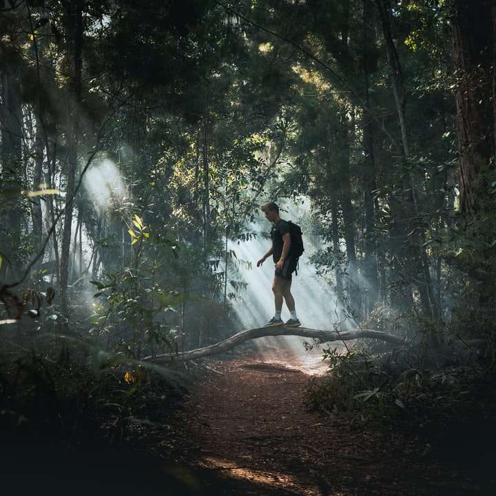 bărbat în cămașă neagră și pantaloni scurți negri mergând pe pădure alunecare puzzle online