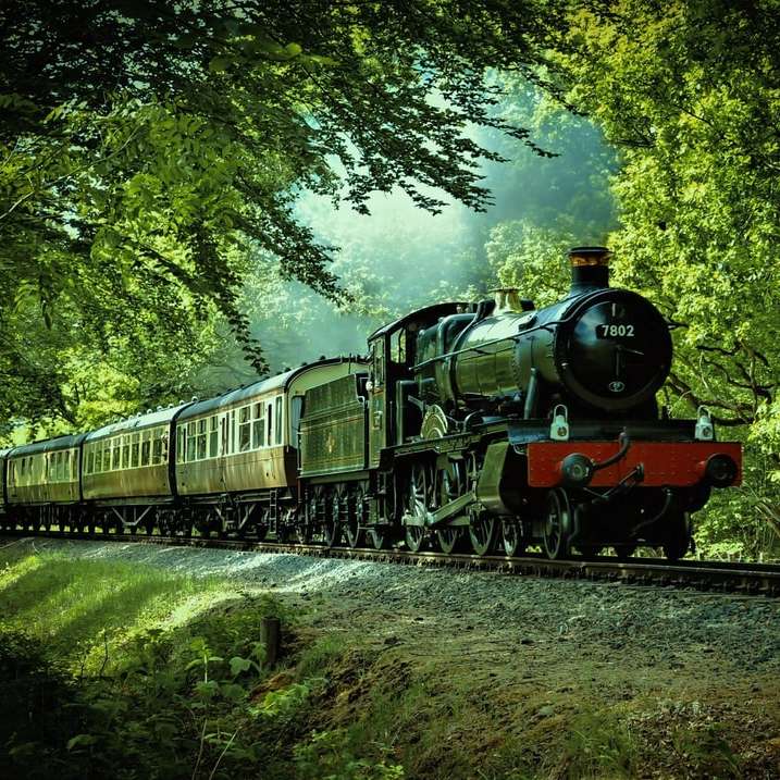 black and red train passing through forest online puzzle