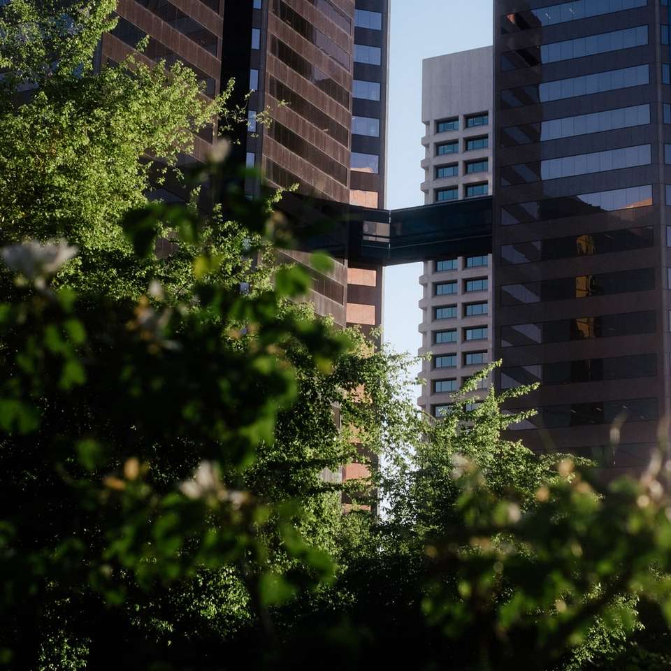 alberi verdi vicino a un grattacielo durante il giorno puzzle scorrevole online