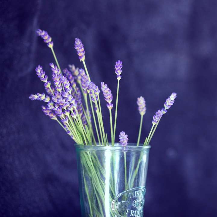 närbild foto av lila blomblad med blommor i glas glidande pussel online