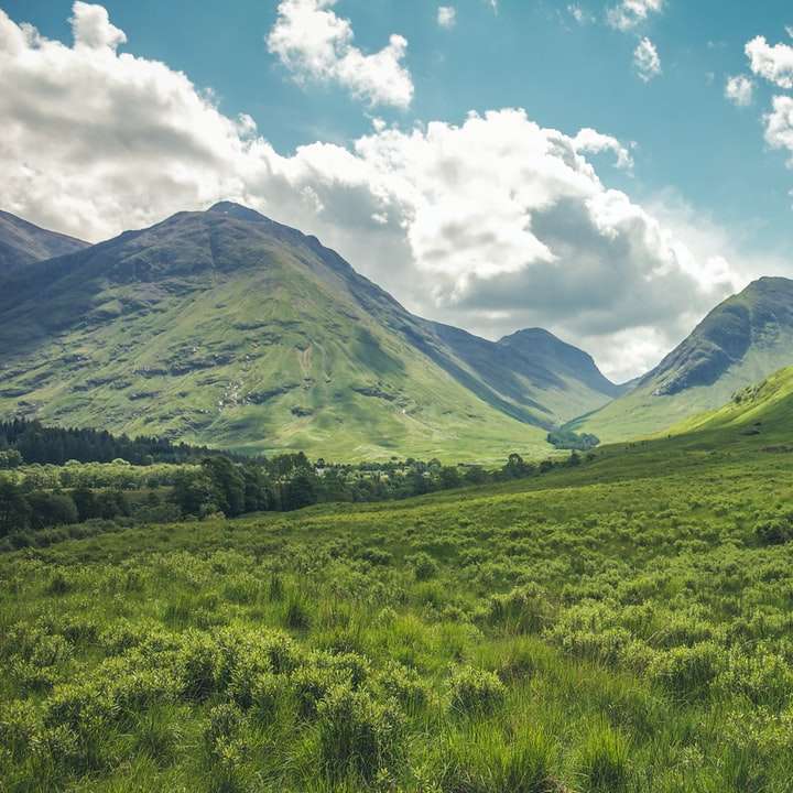 montanha coberta com grama verde puzzle online