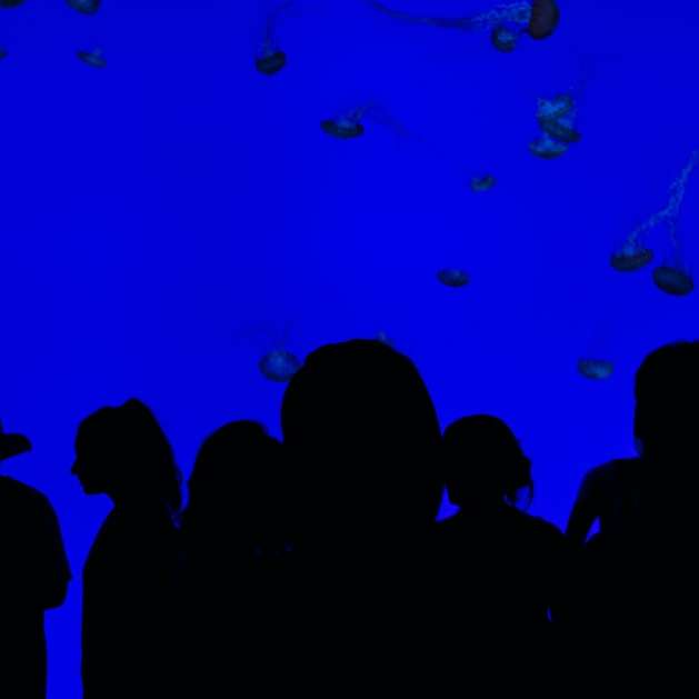 mensen silhouetten met blauwe achtergrond online puzzel