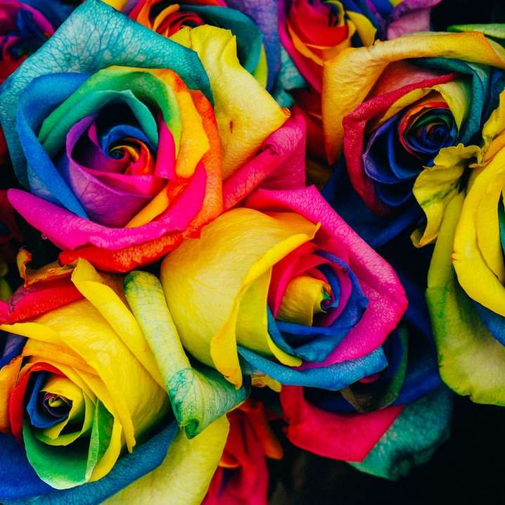 盛り合わせ色の花びらの花 オンラインパズル