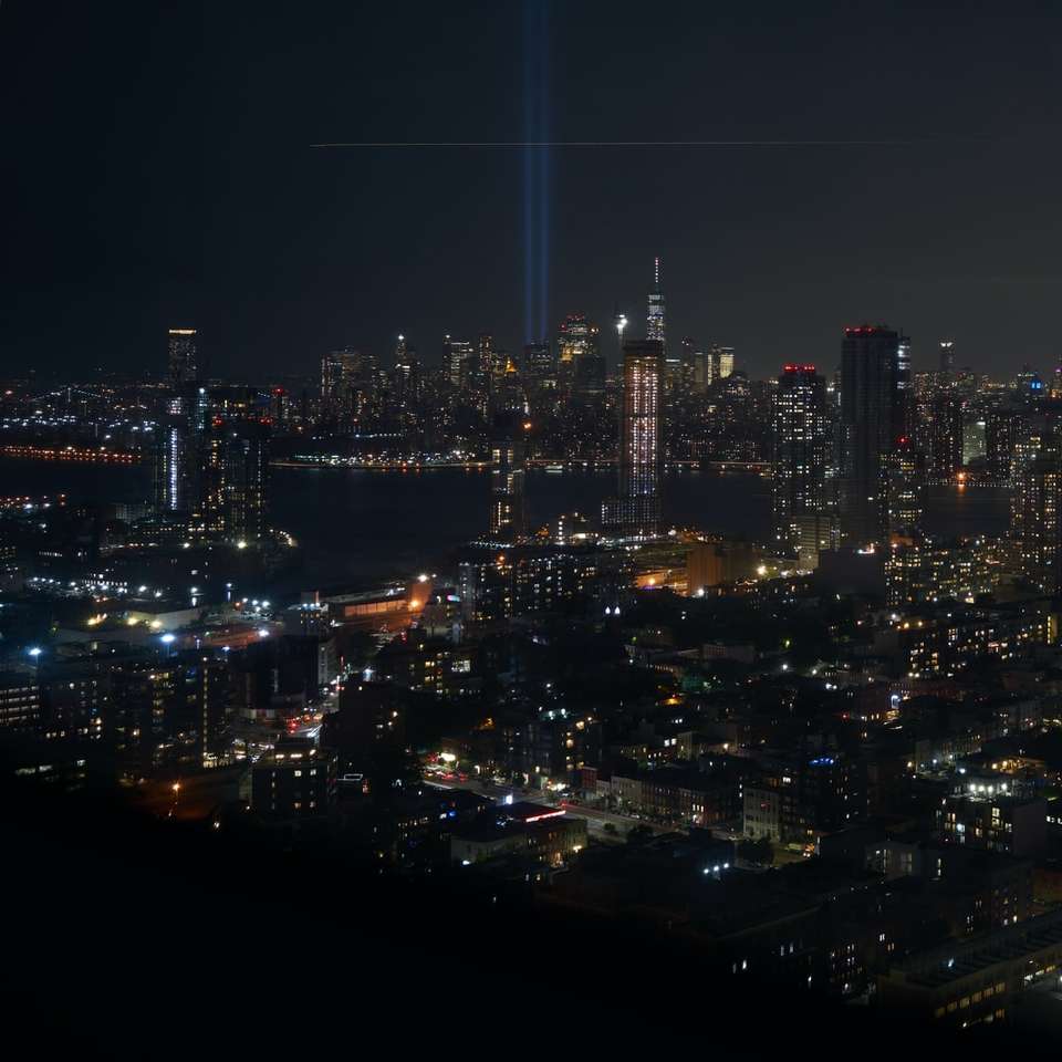 skyline da cidade durante a noite puzzle online
