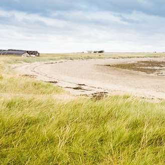 зелена трава поля біля моря під блакитним небом в денний час онлайн пазл