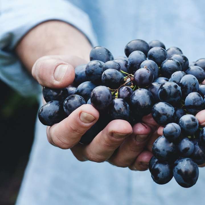 person holding grapes online puzzle