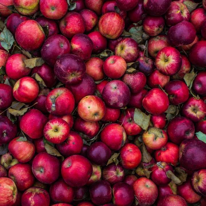 partia czerwonych jabłek puzzle online