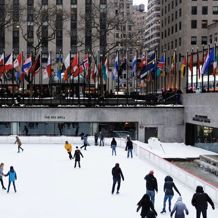 people ice skating on field online puzzle