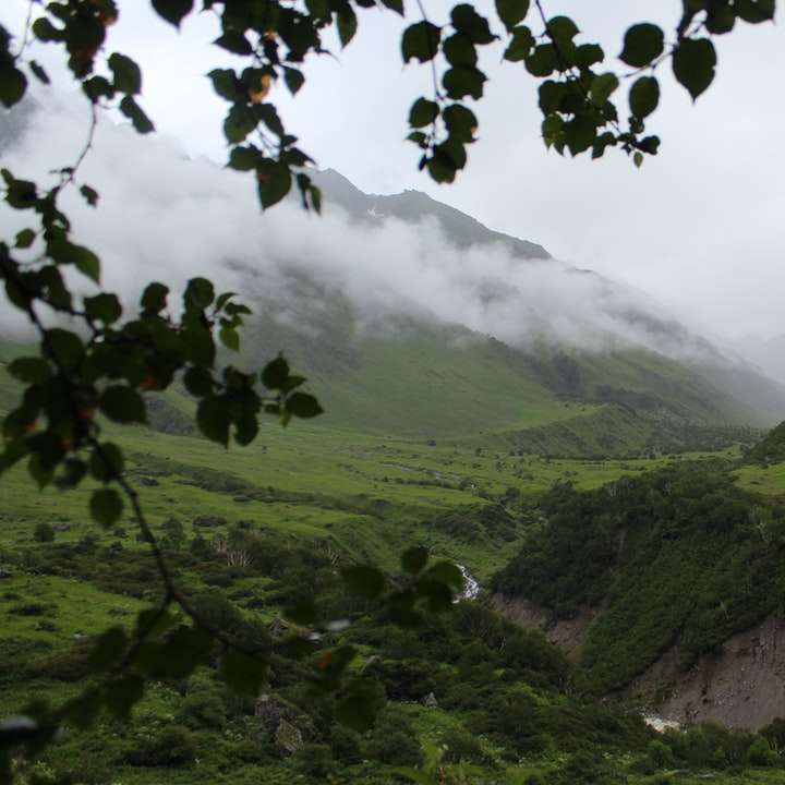 зелені гори під білими хмарами вдень розсувний пазл онлайн