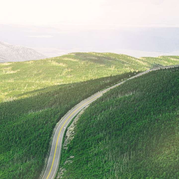 аерофотознімок дороги між зеленими деревами онлайн пазл