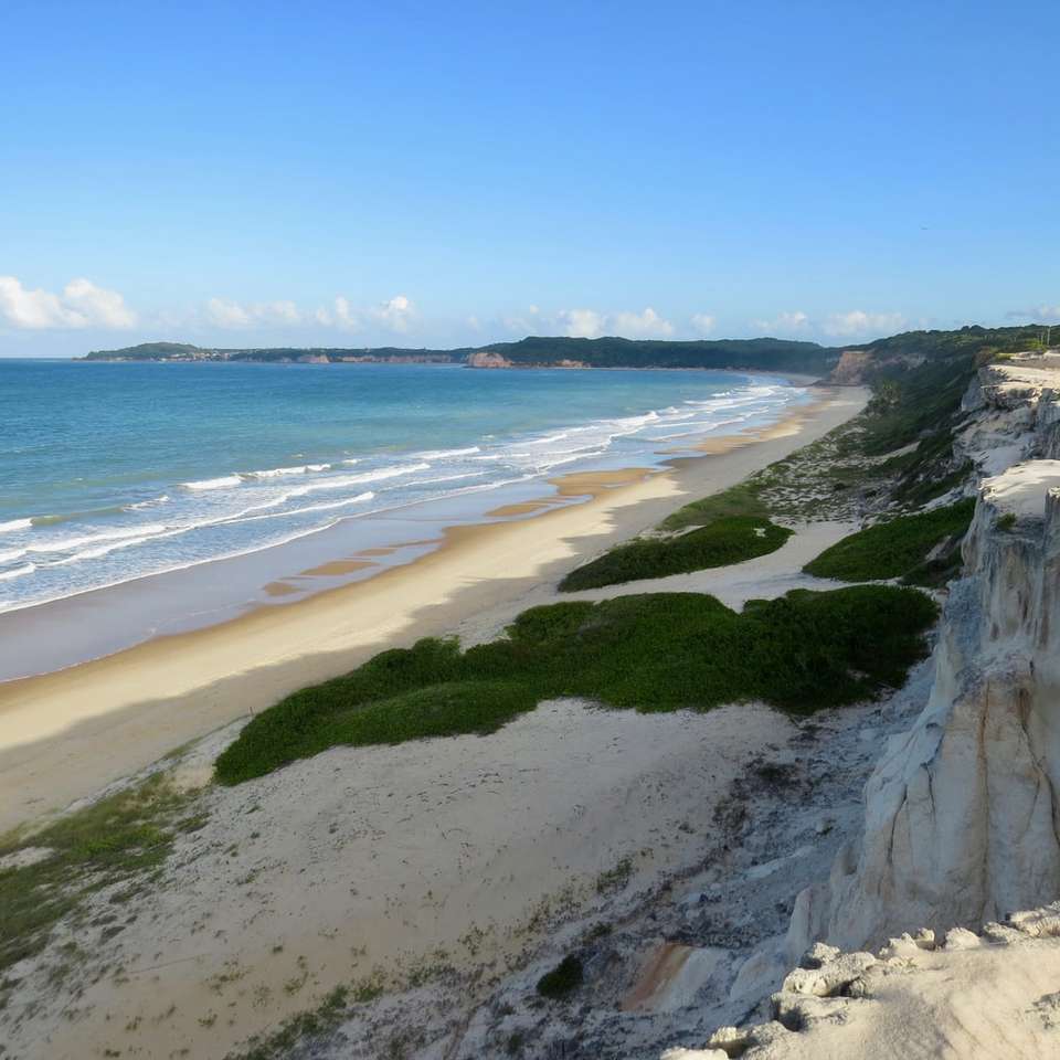 πράσινο γρασίδι στην παραλία κατά τη διάρκεια της ημέρας συρόμενο παζλ online
